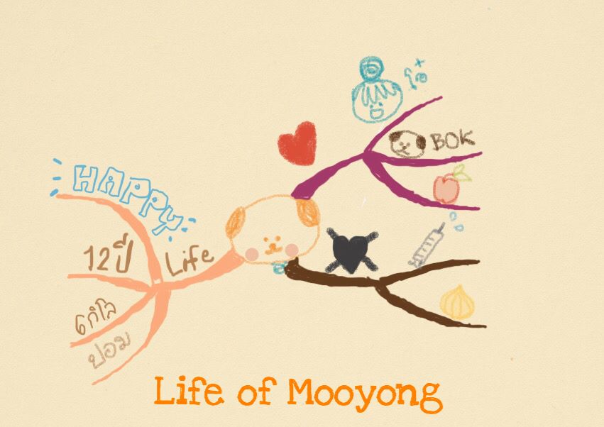 Mind Map เครื่องมือ Visual Thinking สุดทรงพลัง (ตอนที่&nbsp;2)